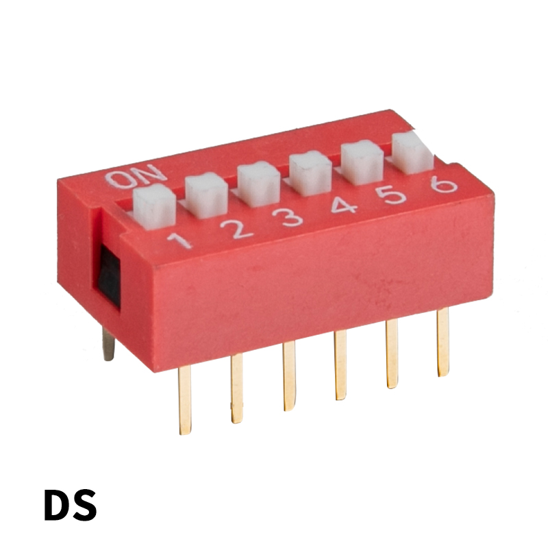 DIP Switch DS