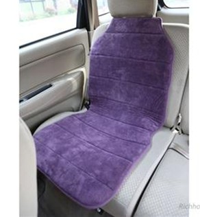Auto cushions C001P005