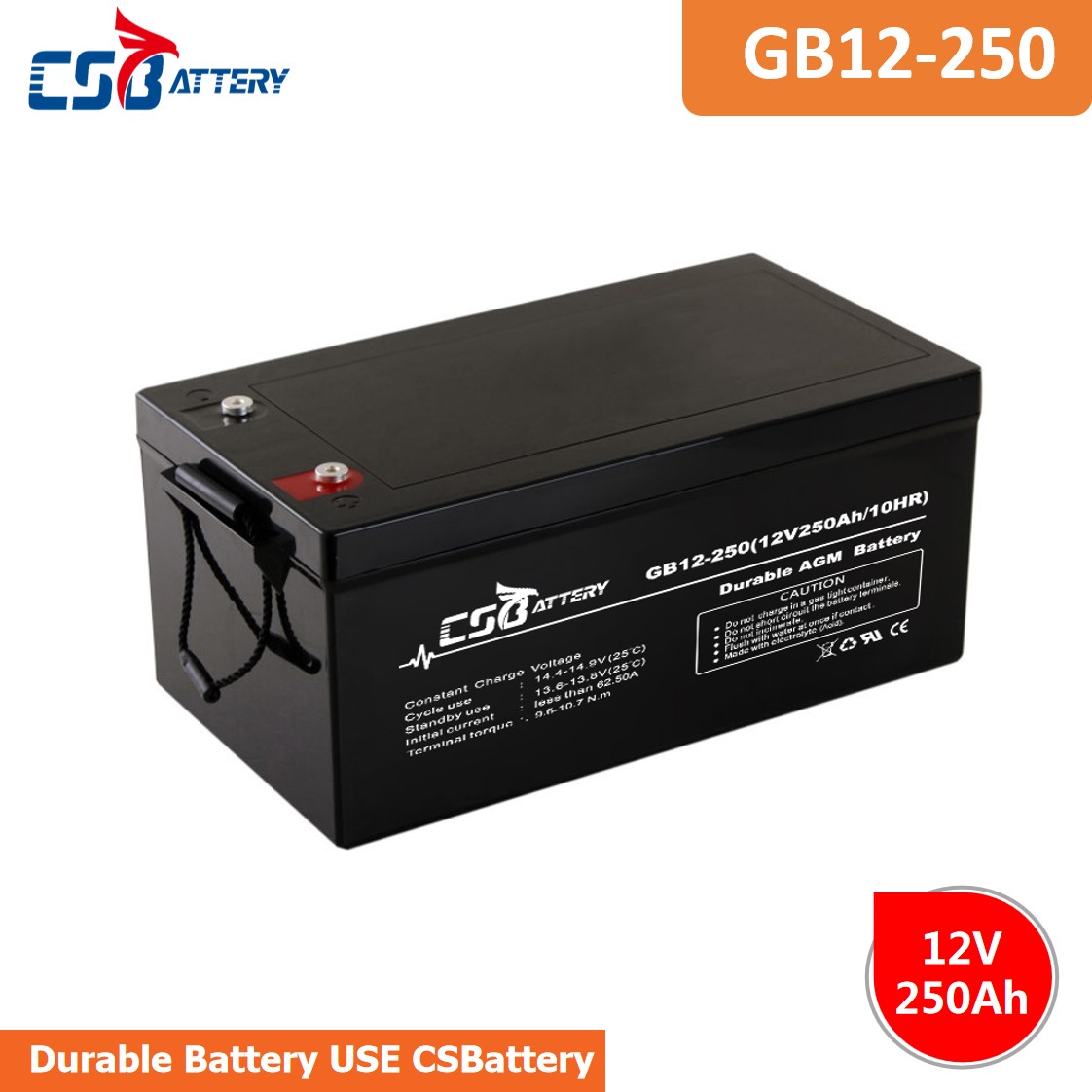 Csbattery 12V250ah High Quality AGM Solar Battery for Inverter/Solar Panels/Vs: Varta/Eastar/Amy