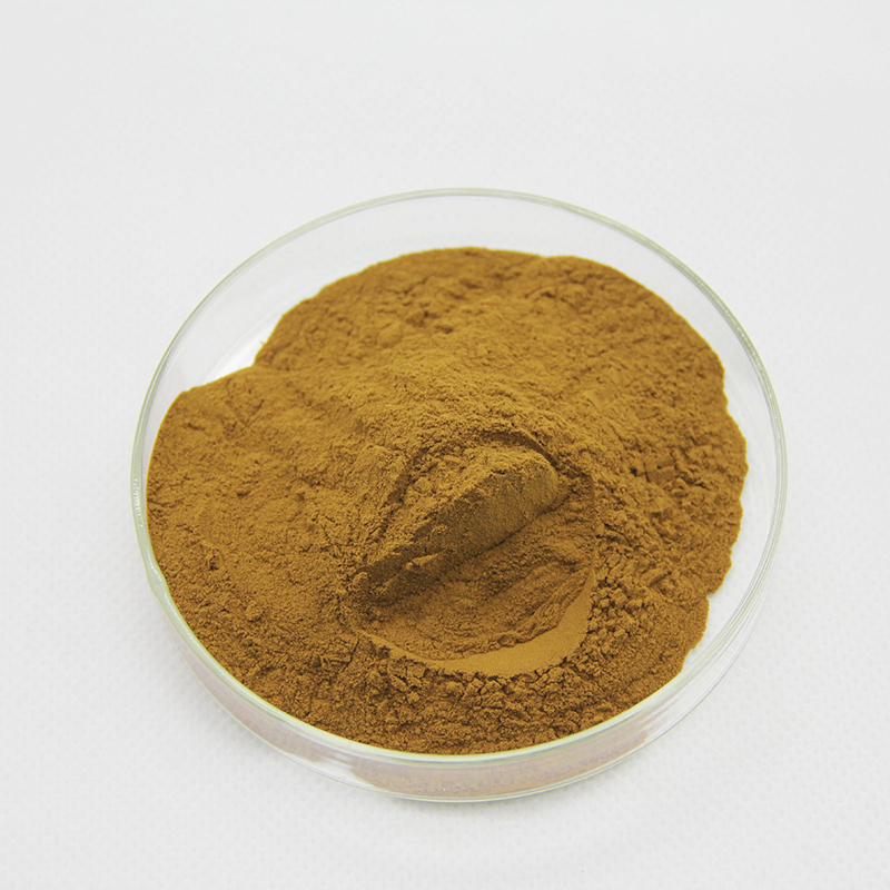Cordyceps Sinensis Extract 50% Polysaccharides