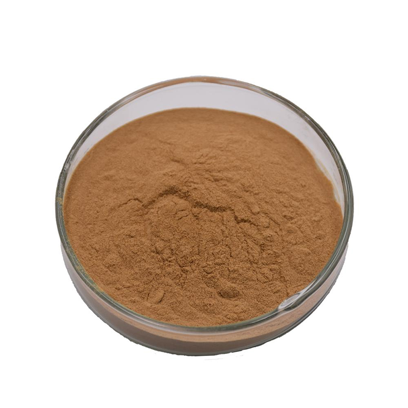 Lentinus edodes(Shiitake) Extract 50% Polysaccharides
