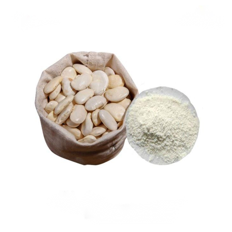 White Kidney Bean Extract 10:1