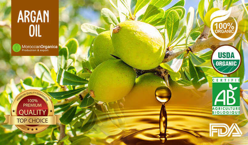  Culinary argan oil from morocco