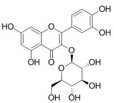 Isoquercitrin CAS NO.482-35-9