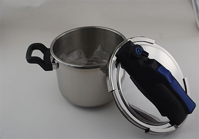 DSX Model Pressure Cooker 202108