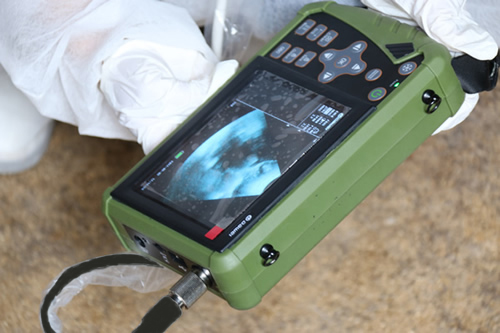 Hand-held Veterinary animal ultrasound with convex probe PM-V0S