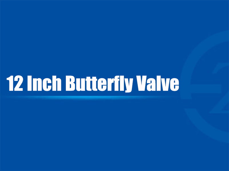 12 Inch Butterfly Valve
