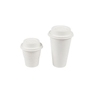 Eco Friendly Disposable Bagasse Cup