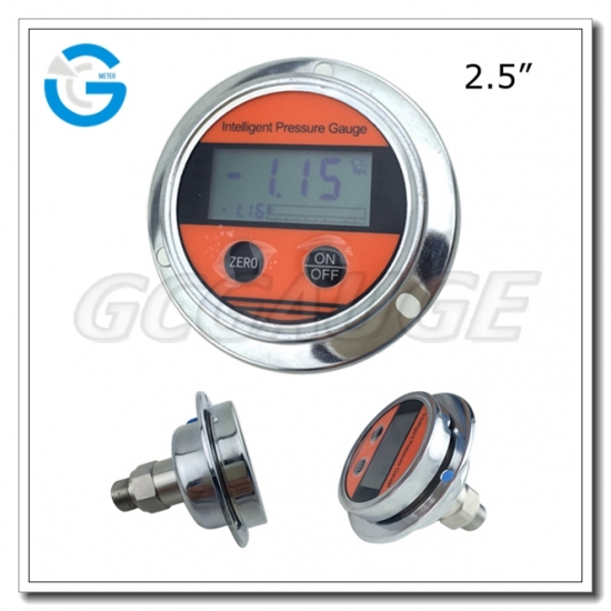 2.5 Inch All Stainless Steel Back Connection Panel Mount Digital Pressure Gauges