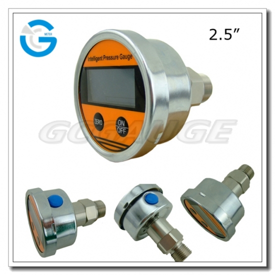 2.5 Inch All Stainless Steel Back Connection Precision Digital Pressure Gauges