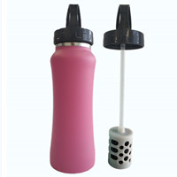 Travel Portable BPA Free Metal Sports Infuser Water Bottle With Filter Purifier