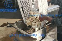 Cassava Grinding Machine