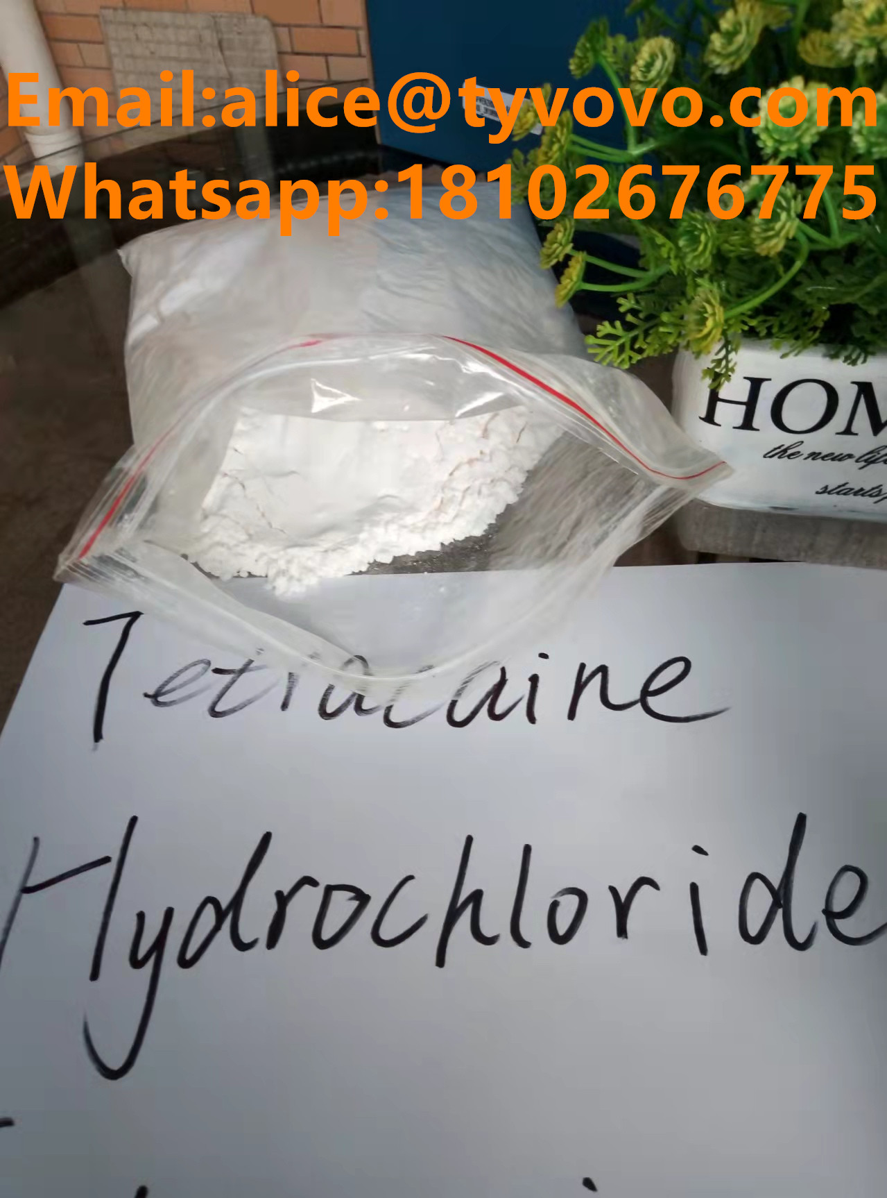 99% pure Tetracaine hydrochloride/tetracaina hcl/ powder with USP/BP standard  
