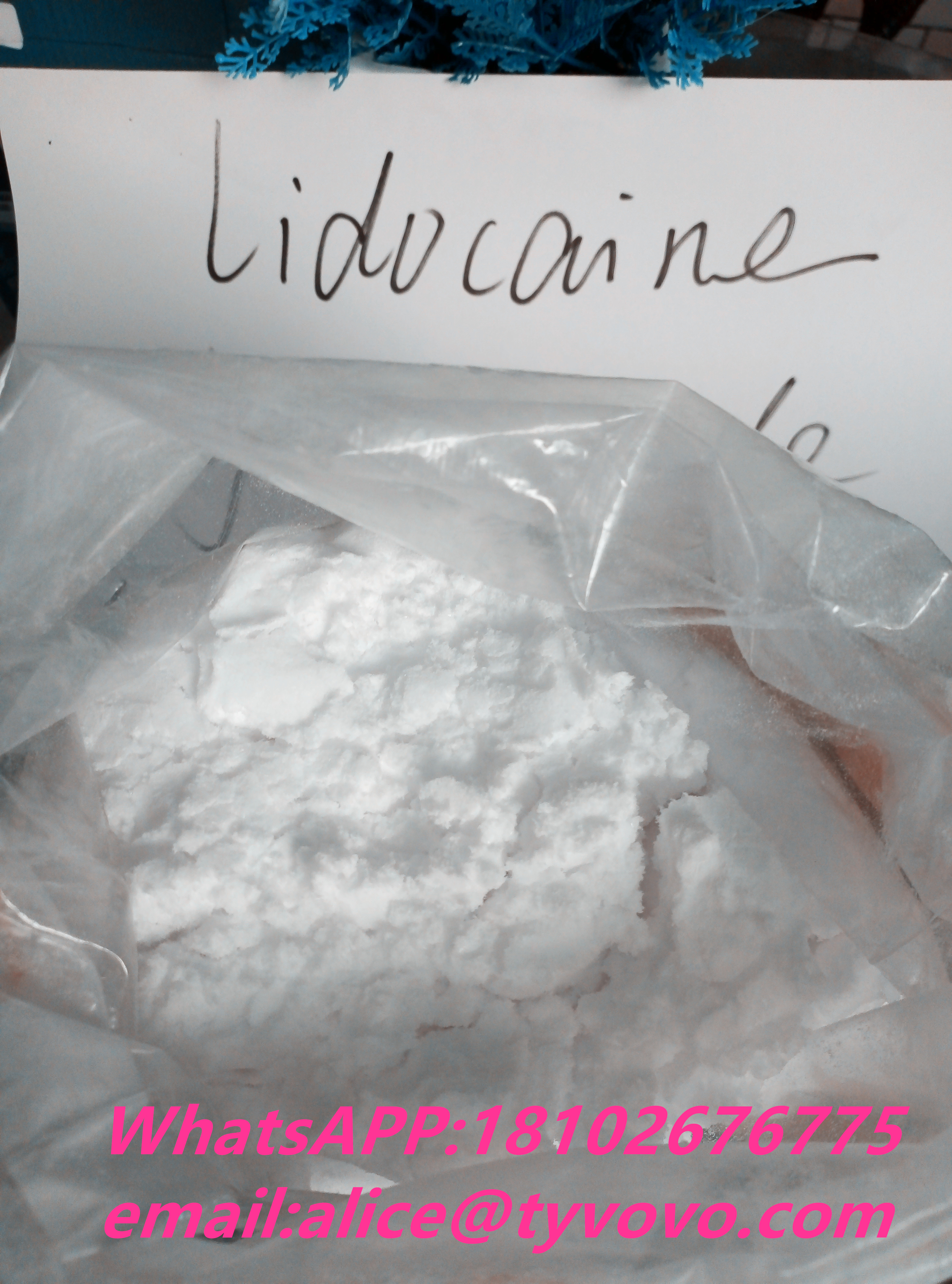 99% pure lidocaine/lidocaina hloride powder with USP/BP standard  