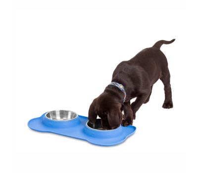 Silicone-Stainless Steel Double Dog Bowl