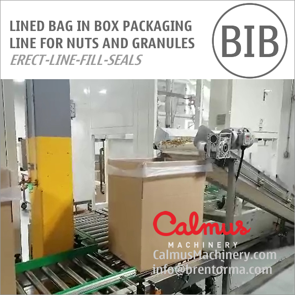 Lined Bag in Box Line for Packaging Nuts and Granules