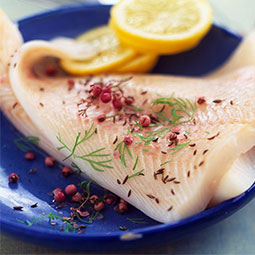 B2b  1 FROZEN FISH FILLETS & SEAFOOD WHOLESALE    Whether you are looking for products for yourself, a restaurant, a supermarket or restaura