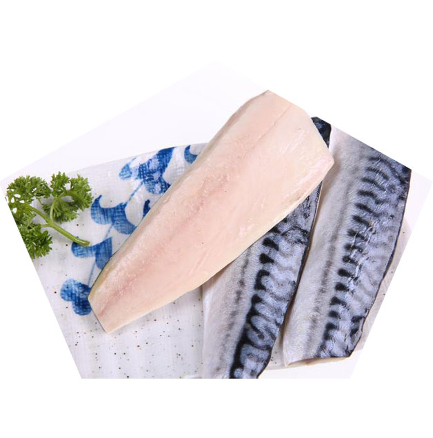 Frozen Mackerel Fillet Supplier