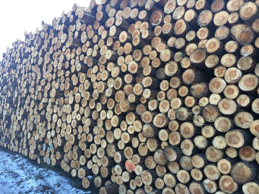 Red Oak Logs, Pine, Sprice Logs Available