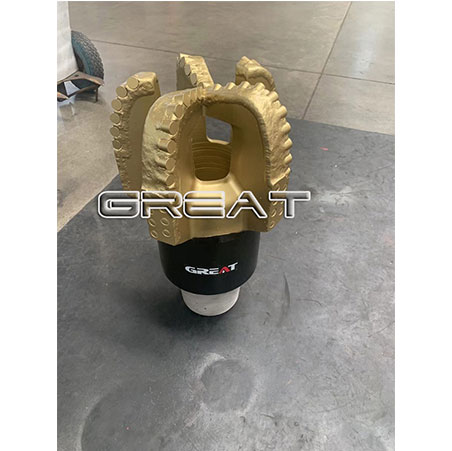Reverse circulation PDC bit for geological exploration samples 
