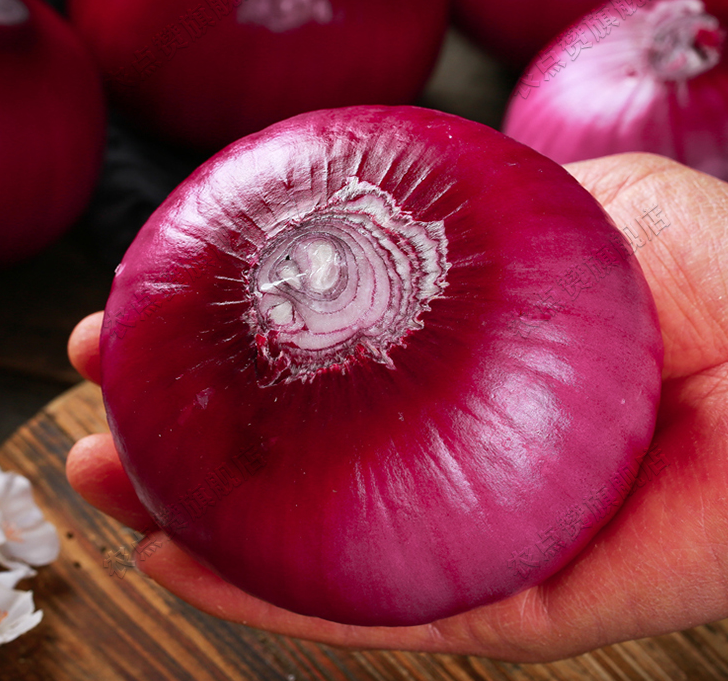 High Yield Purple Onion Seeds