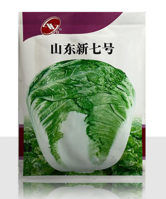 Chinese cabbage seeds high yield yellow heart vegetable seeds