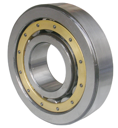 N1860 Roller bearing with brass cage 300*380*38mm