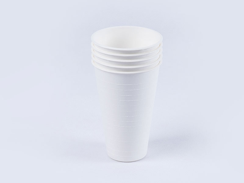 Biodegradable Disposable Take away Coffee Cups with Lids Wholesale