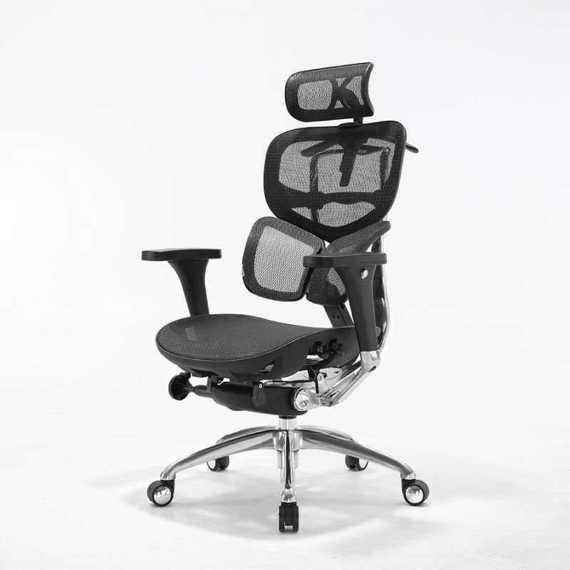 Sihoo A7 Comfortable Stylish Gray Ergonomic Executive Office Chair for Proper Posture