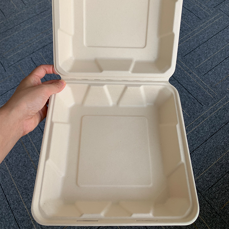 8 Inch Sugarcane Bagasse Biodegradable Fast Food Takeout Clamshell Lunch Box Food Container