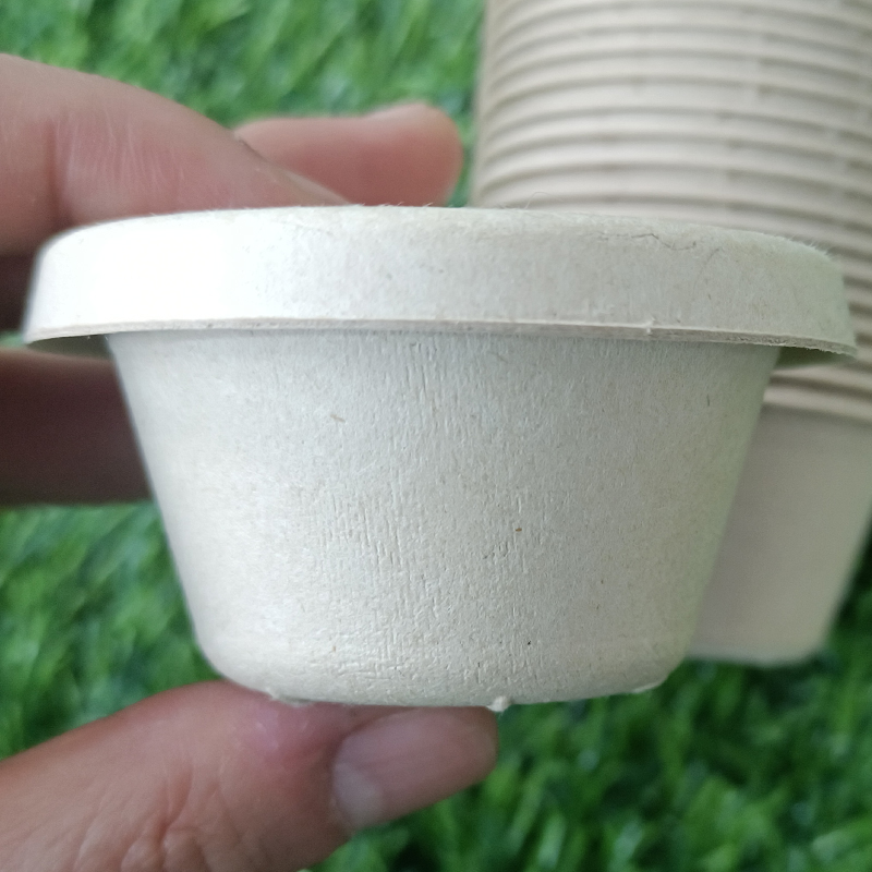60ml Suagarcane Bagasse Biodegradable Compostable Disposable 2oz Sauce Paper Cup with Lid