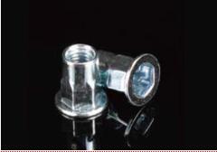 Countersunk Head Round Body Plain Closed End