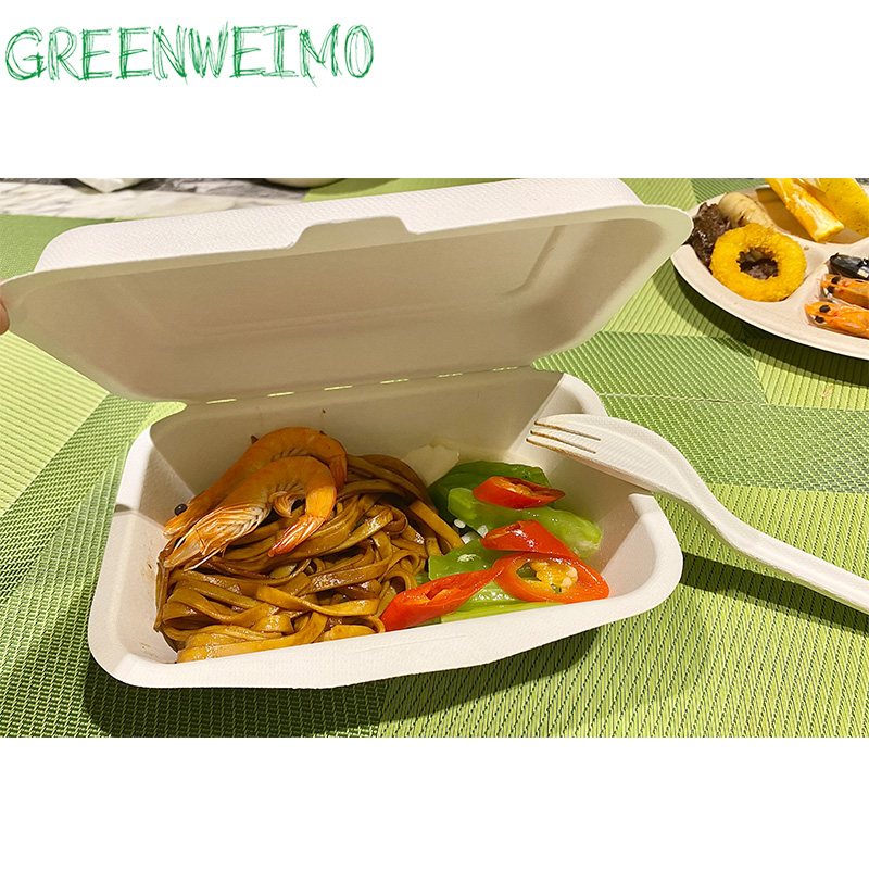 Eco Biodegradable Hot And Cold Food Catering Box with Lid