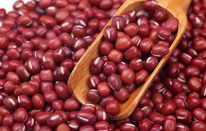 Ormosia/Red Beans