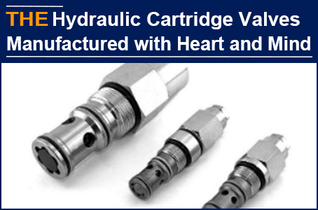 AAK hydraulic valves understanding about with heart, which peers can't think of or do