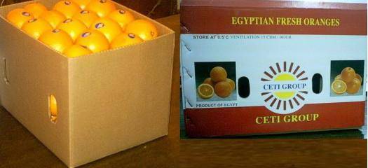 orange Egypt