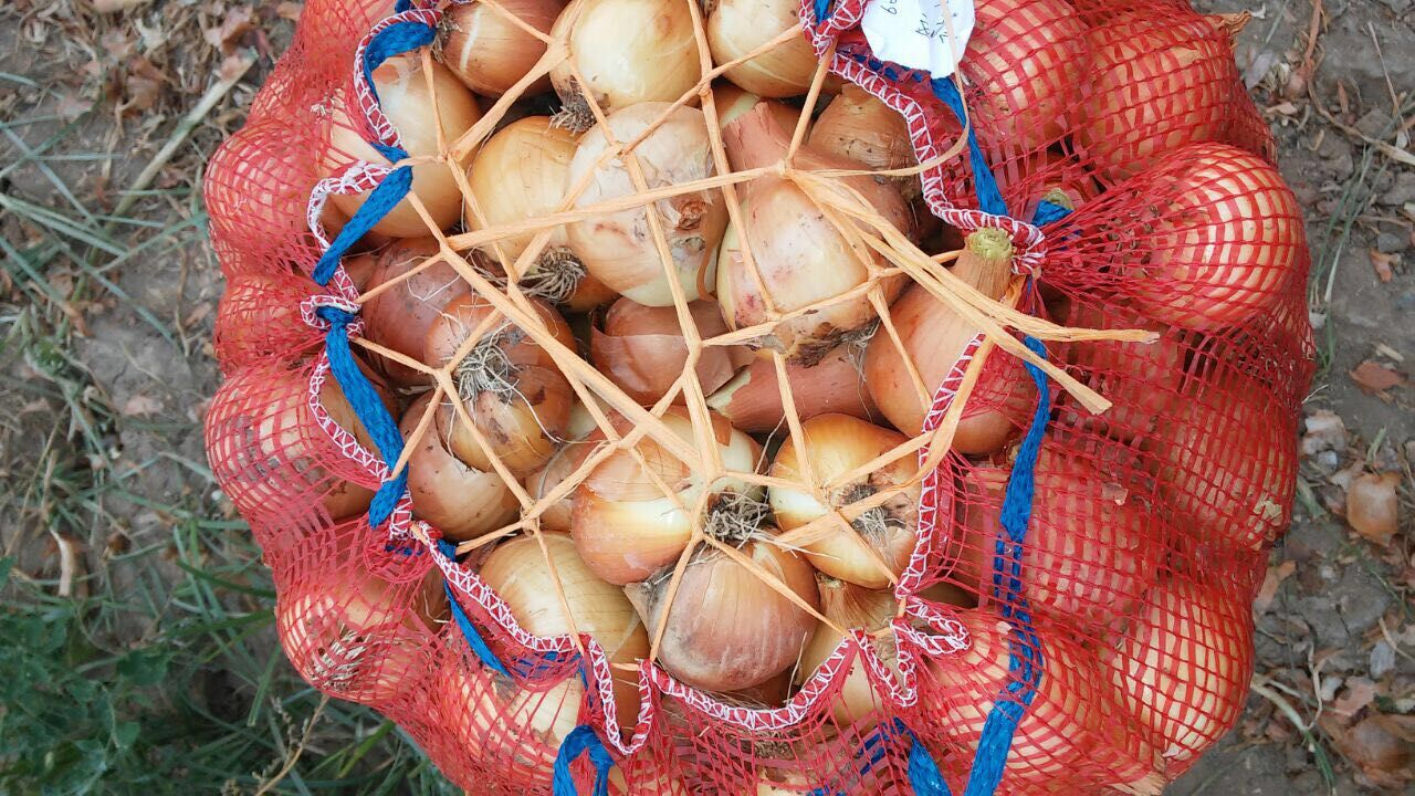 onion sack packing circular knitting PP mesh bag for onion &potato