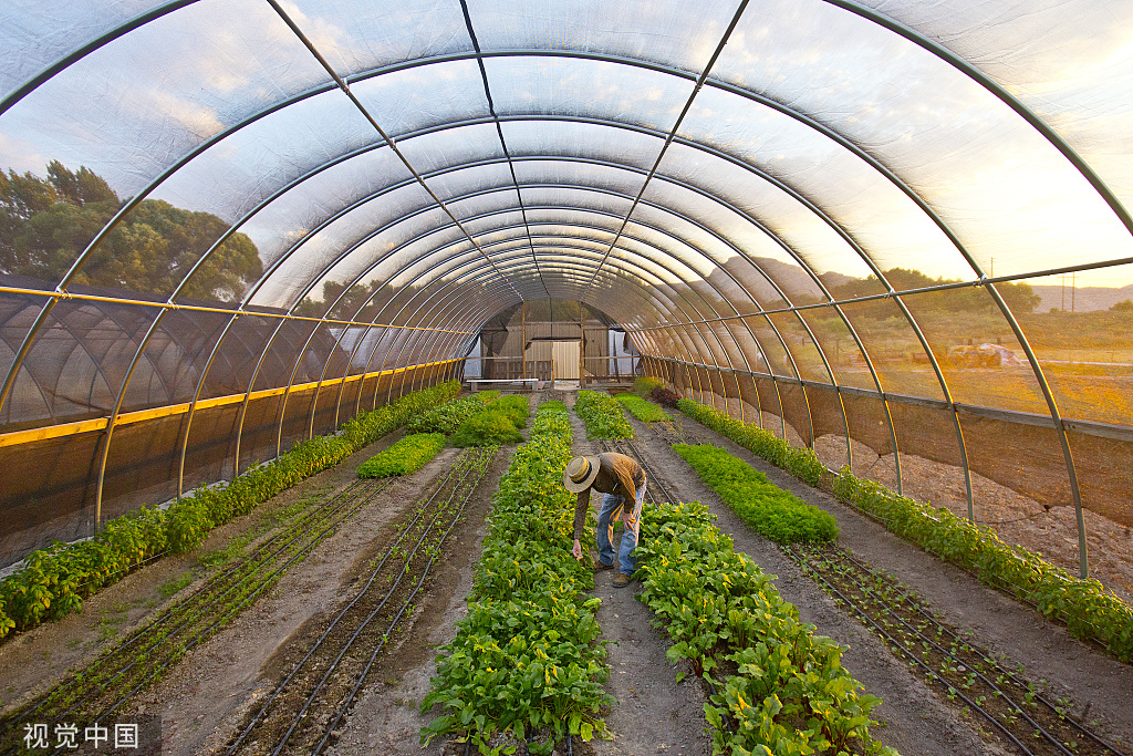 用于农业的新型 HDPE 40% 深绿色遮阳网