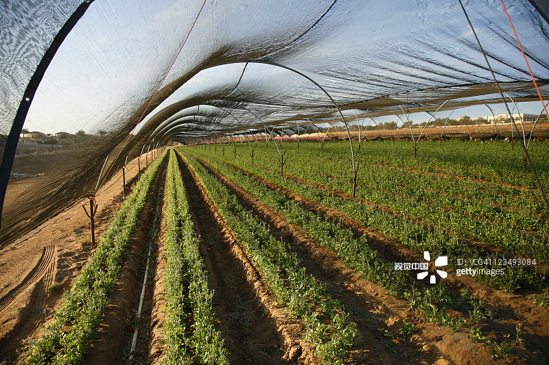 温室农用遮阳网 NEW HDPE遮阳网
