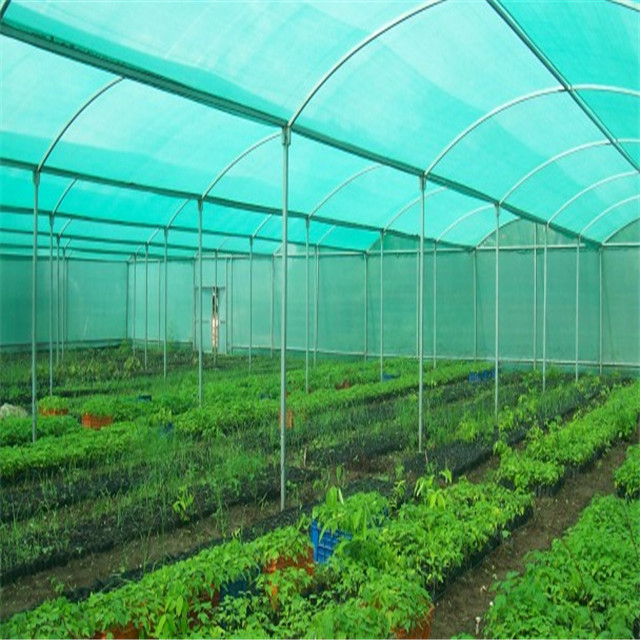 Green Nursery Sun Shade Net for Agriculture Mushroom