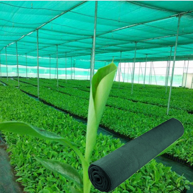 Green Nursery Sun Shade Net for Agriculture Mushroom
