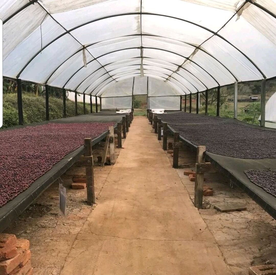 30-90% HDPE 遮阳网黑色针织农业农业遮阳布温室