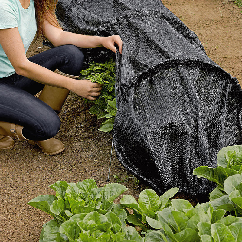 30-90% HDPE Shade Net Black Colors Knitted Agricultural Farming Shade Cloth For Greenhouse