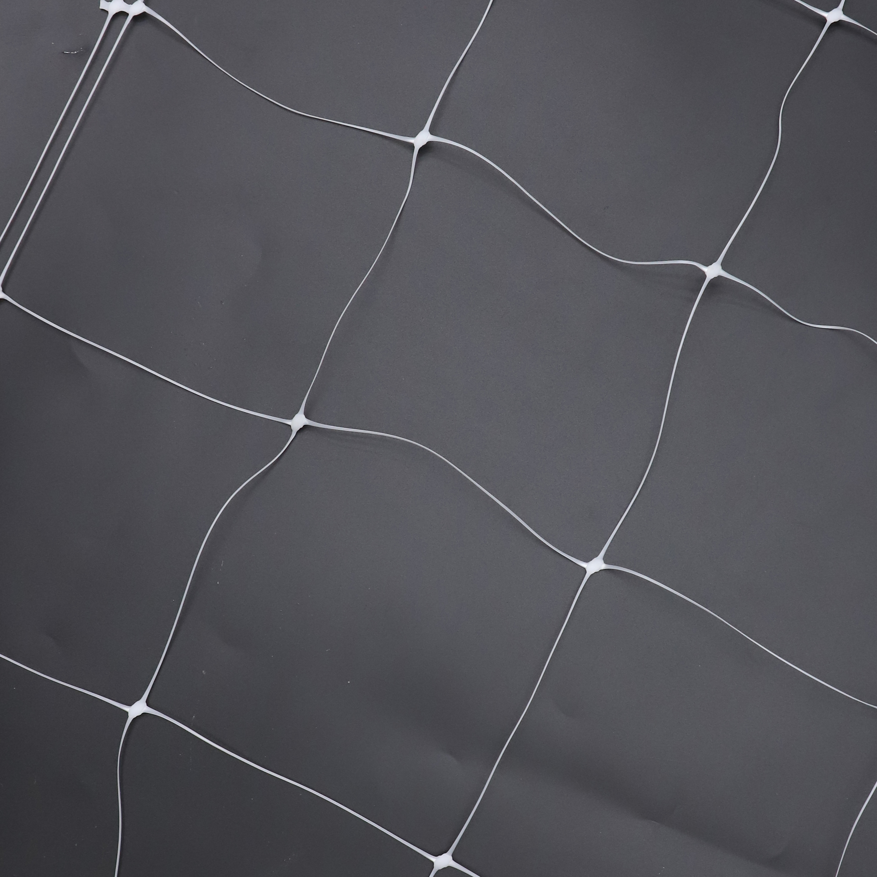 Durable Plastic PP +UV Extrusion Trellis Netting