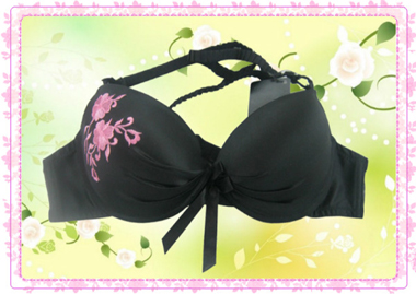 2012 hot seller lace lady bra underwear lingerie