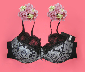 2012 new product lace export bra lady's first choose