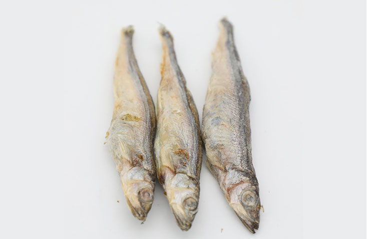 Freeze-dried Capelin for Dog and Cat