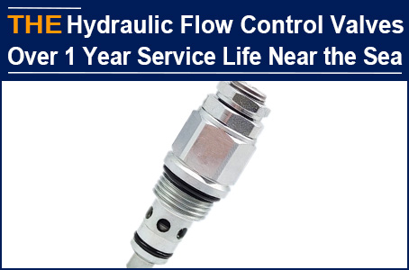 AAK hydraulic flow control valves were still normal after being used for 15 months near the sea, while that of the peers corroded after 10 months