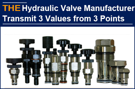 AAK uses 3 points to promote the content of hydraulic valves and transmit 3 values. American customer learns from it