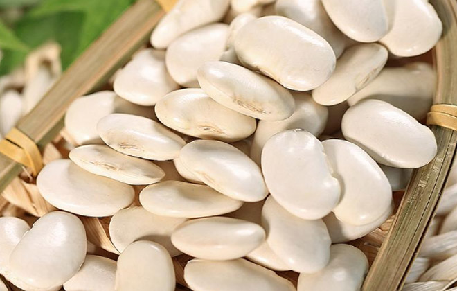 Large White Kidney Beans